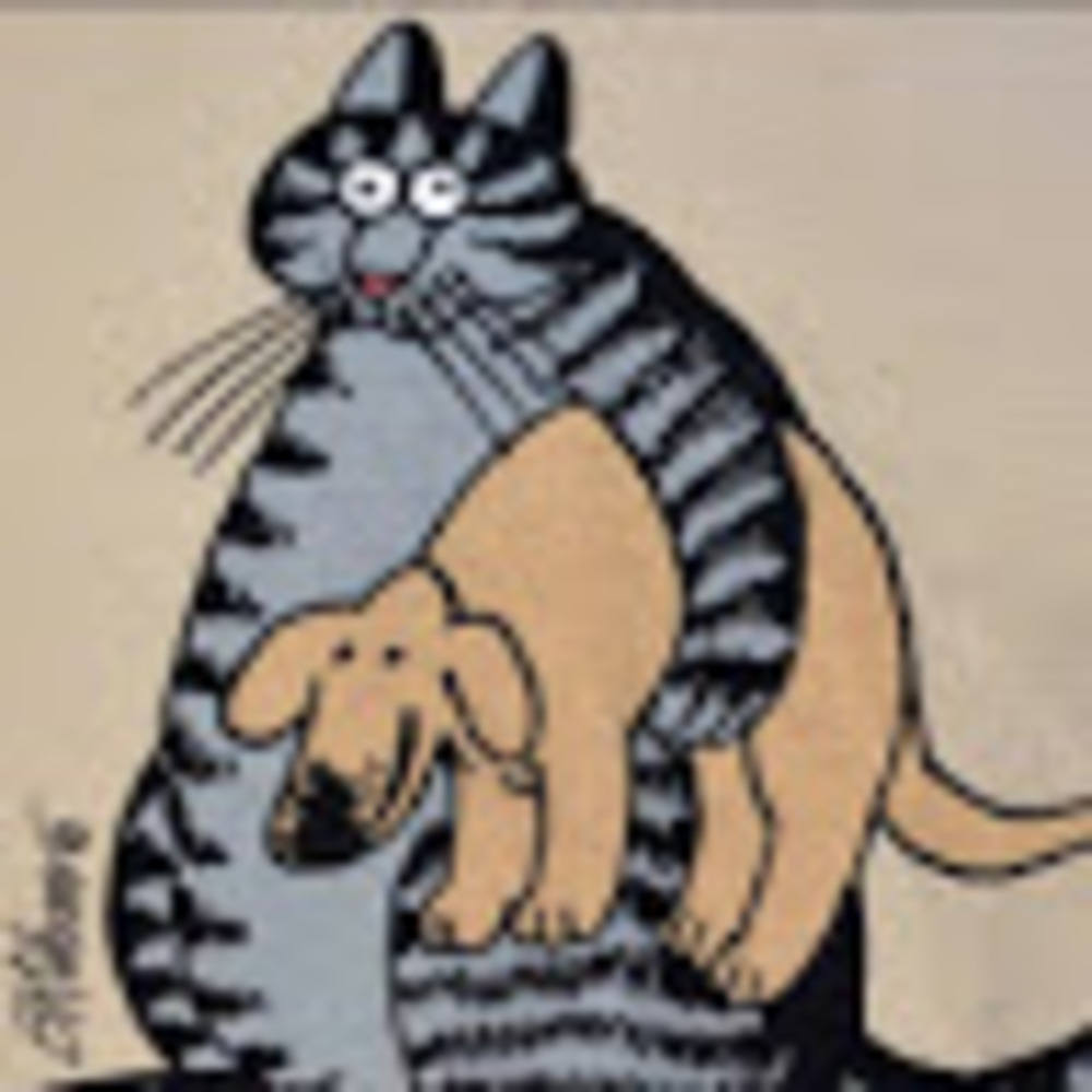 Meet your Posher, Vanda